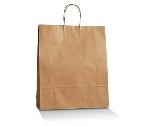 Brown Kraft Bag - Medium Plus.