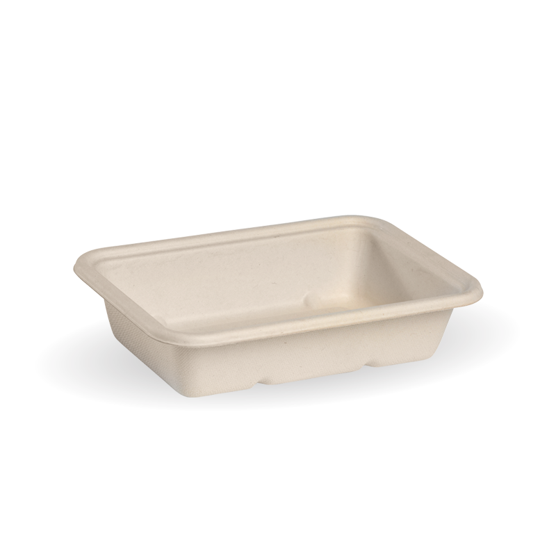 Sugar Cane Rectangle Containers.
