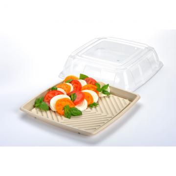 PET Clear Lid for 14' Square Pulp Platter 25/ctn.